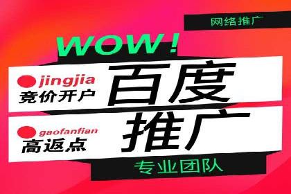 百度推广竞价全解析：某电商平台的营销策略